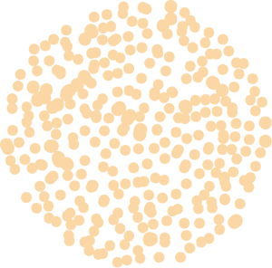 blob-4