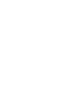 AI Overview Logo